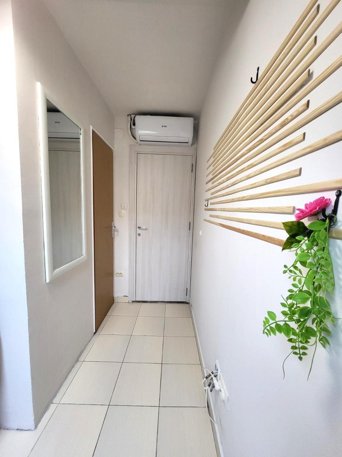 Guesthouse Ozegovic ベオグラード エクステリア 写真